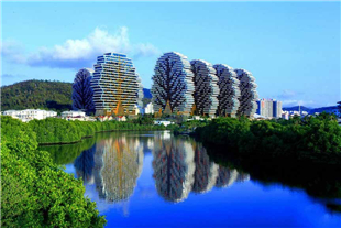 美丽之冠大树公馆